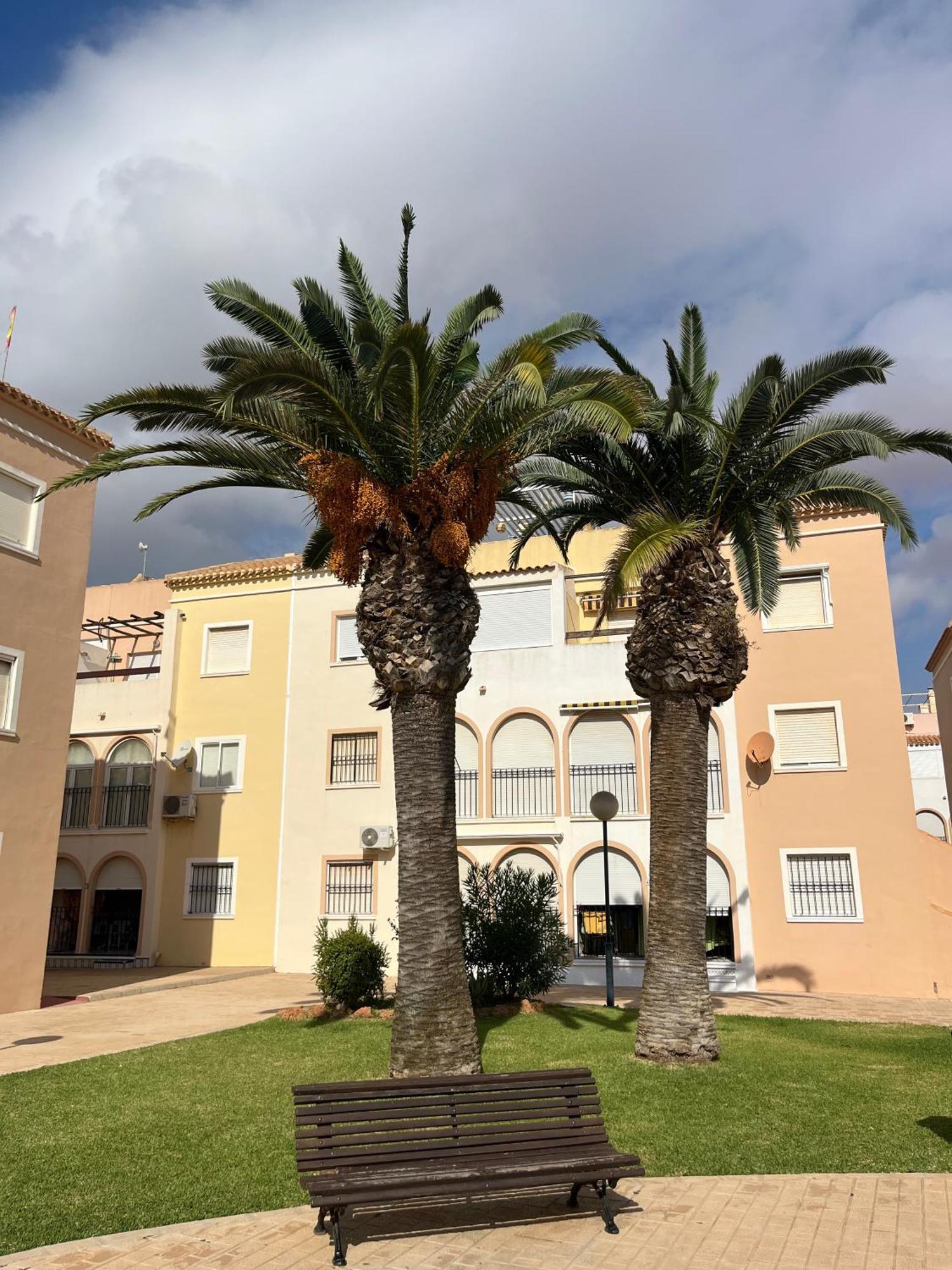 Torrevieja 2 Bedrooms Appartment エクステリア 写真