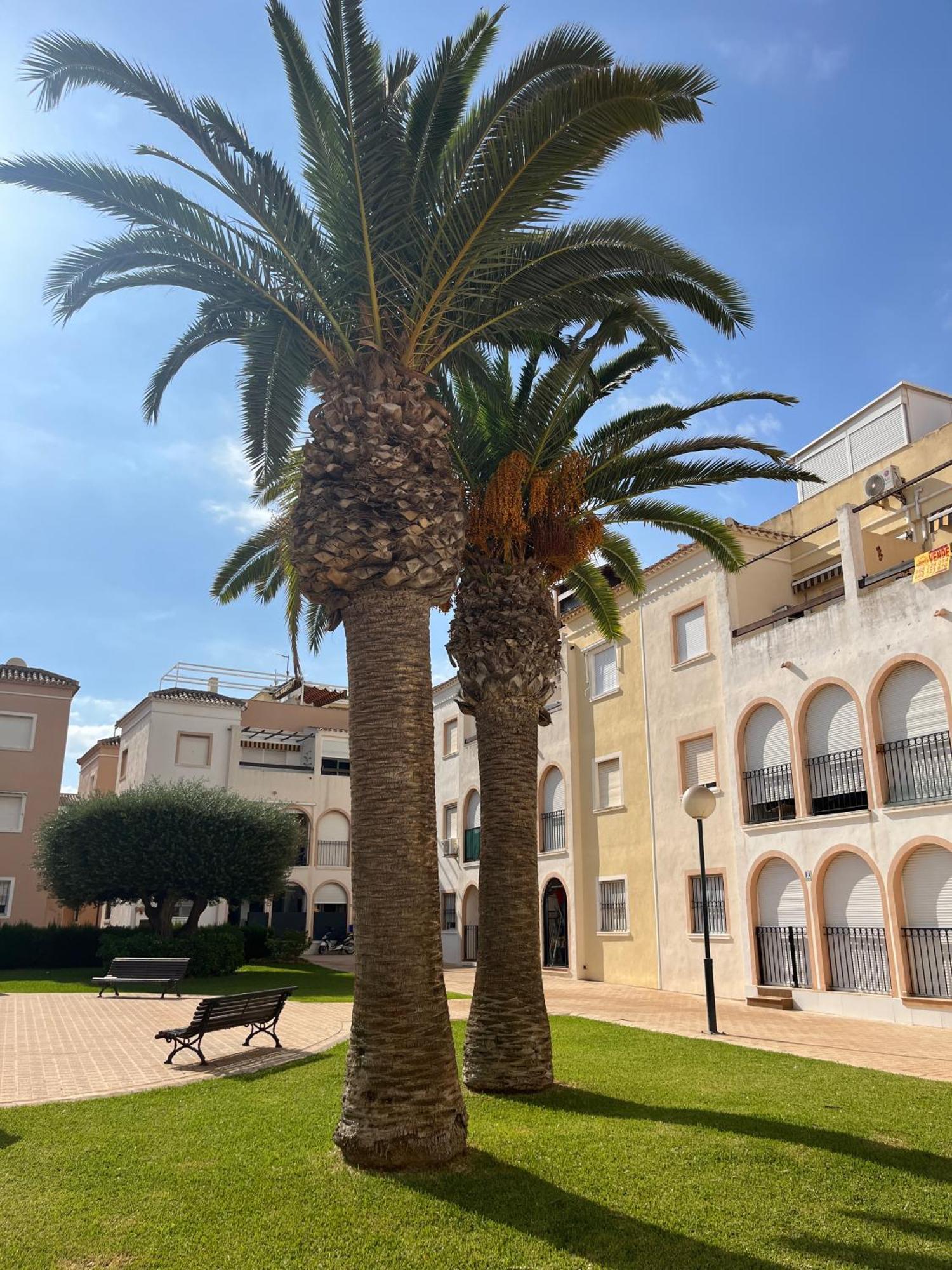 Torrevieja 2 Bedrooms Appartment エクステリア 写真