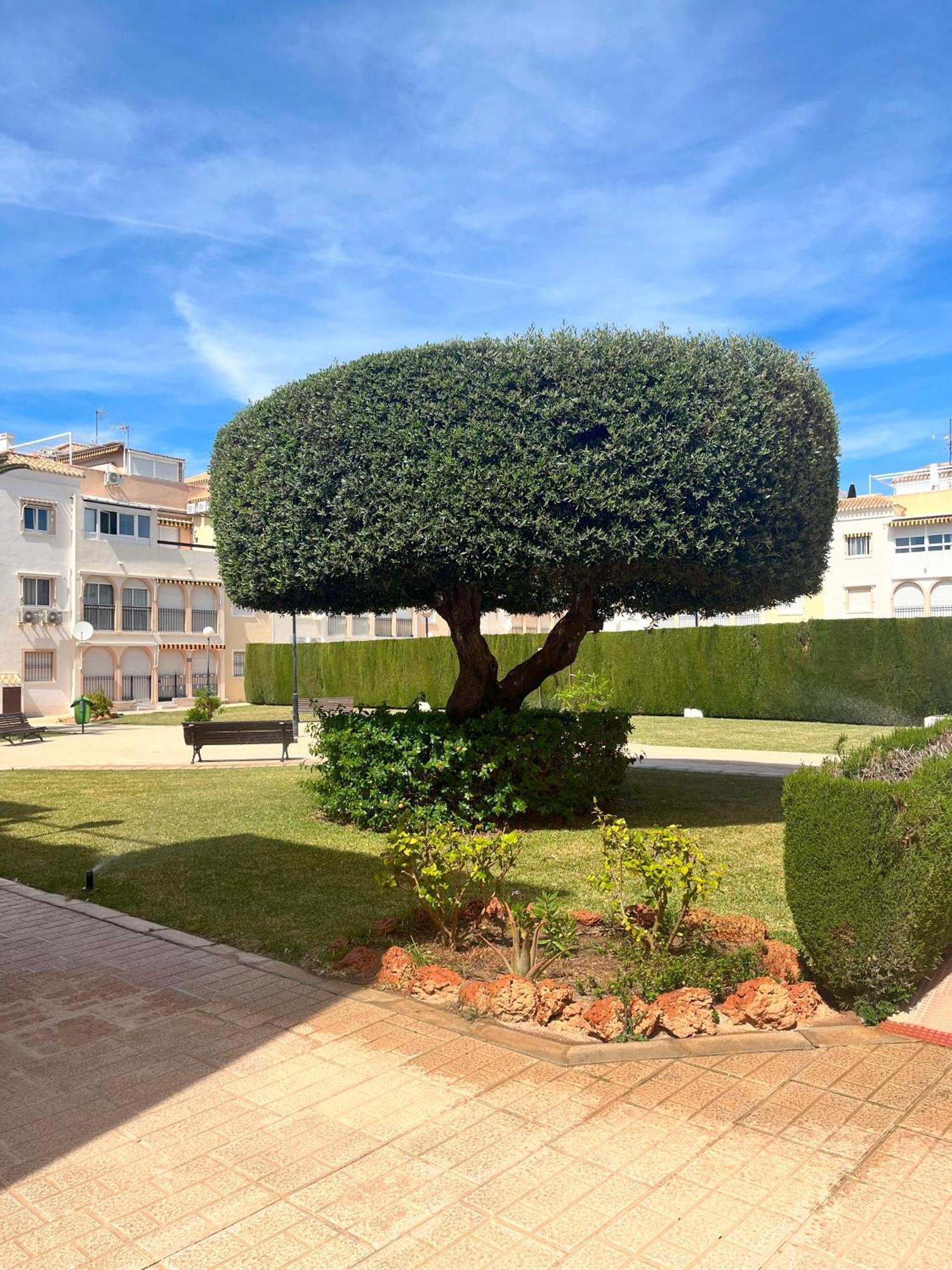 Torrevieja 2 Bedrooms Appartment エクステリア 写真